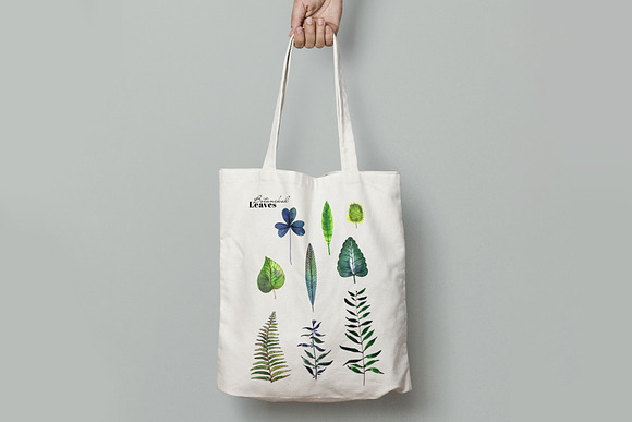 Botanical watercolor leaves set in Illustrations - product preview 4