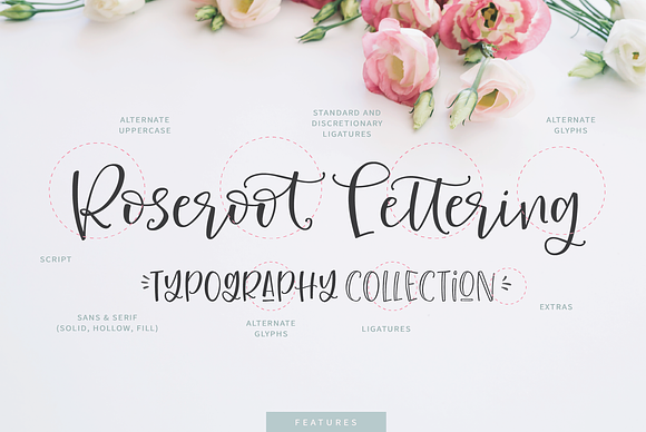 Roseroot Cottage Font Collection in Icon Fonts - product preview 16