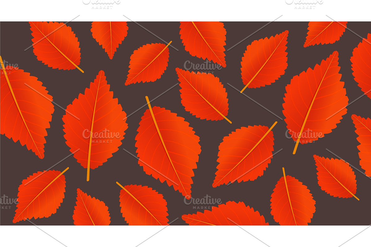 Autumn orange background with leaves in Textures - product preview 8