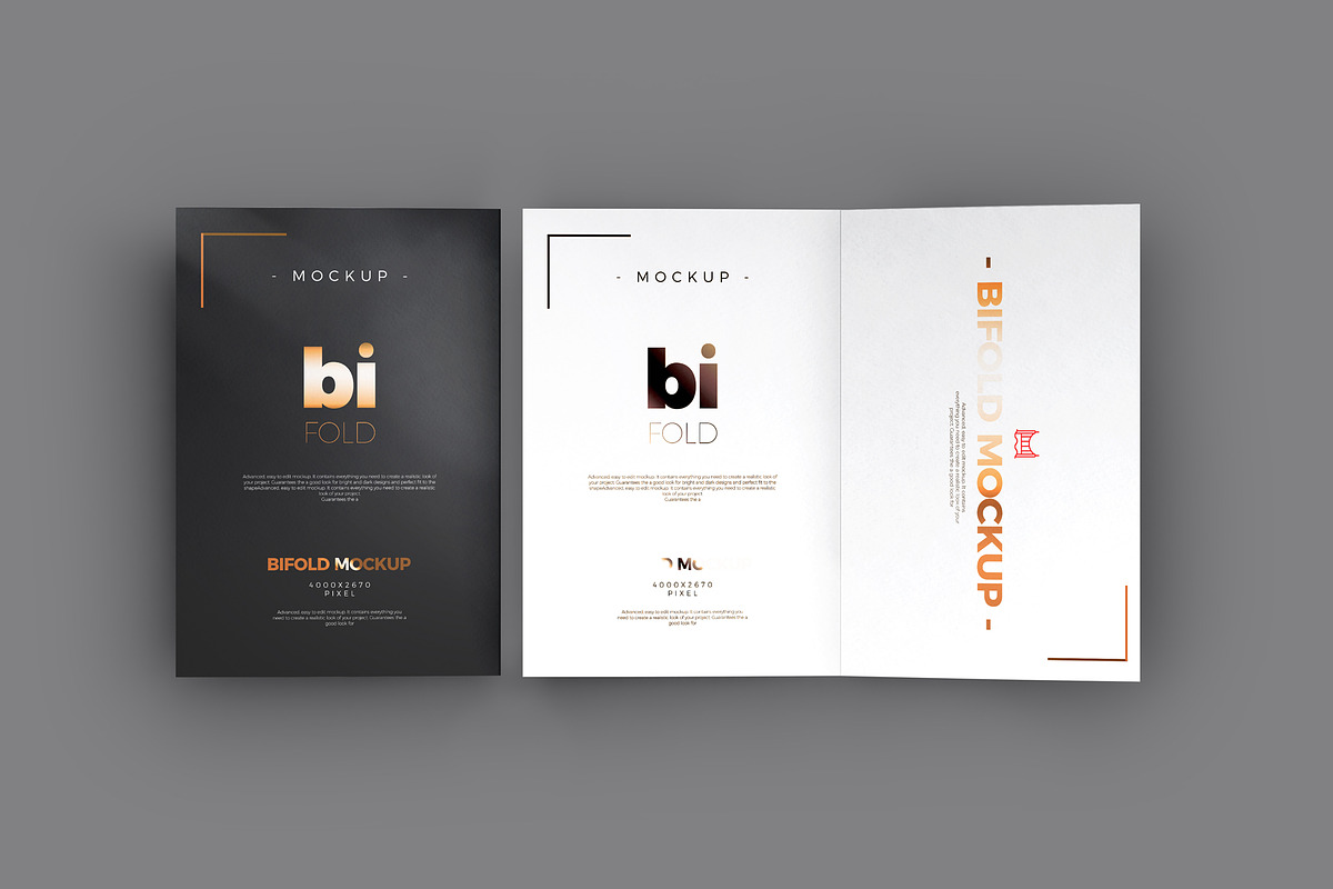 Bi-Fold A5 Brochure / Mock-up 2 in Print Mockups - product preview 8