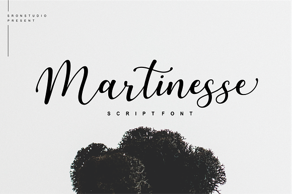 Martinesse - Beautiful Script Font in Script Fonts - product preview 12