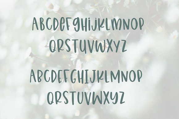 Kindly Garden in Display Fonts - product preview 1
