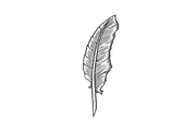 feather quill pen in a vintage