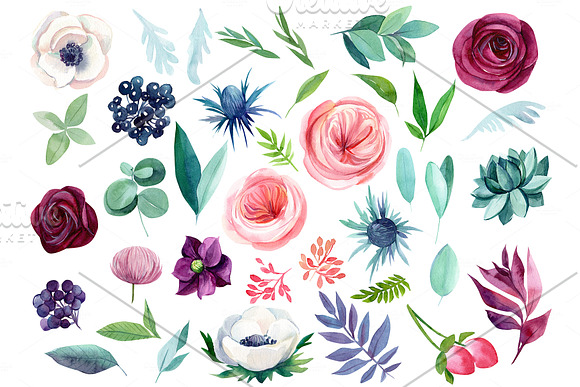 Watercolor flowers, hummingbirds in Illustrations - product preview 1