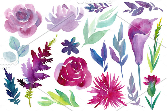 Watercolor flowers, hummingbirds in Illustrations - product preview 3