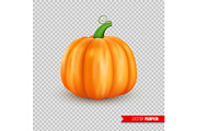 Realistic ripe pumpkin. Isolated on