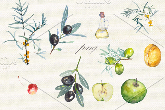 Fruit vegetables food watercolor in Illustrations - product preview 1