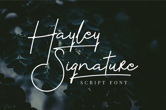Hayley Signature in Signature Fonts - product preview 7