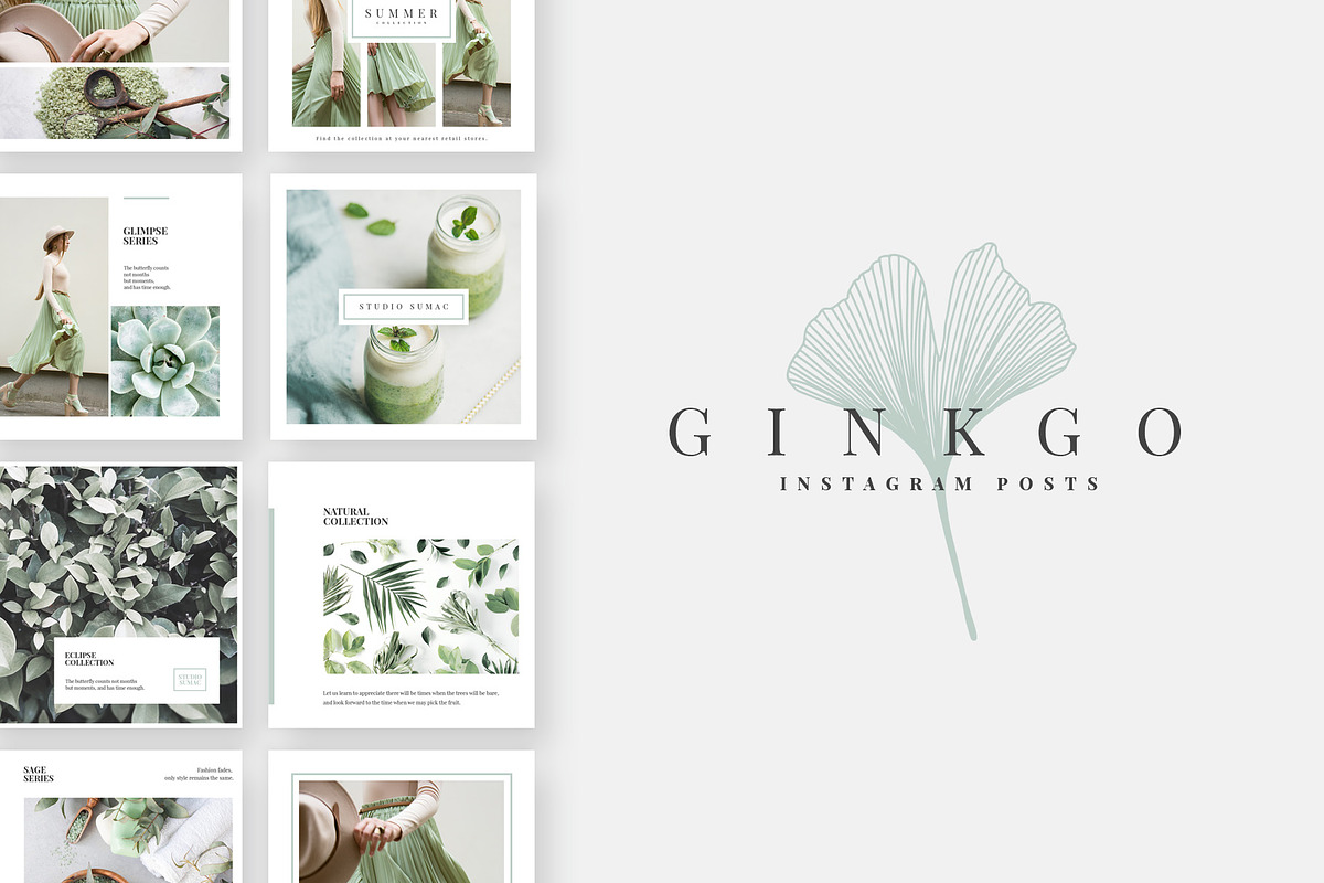 Ginkgo Instagram Post Templates in Instagram Templates - product preview 8