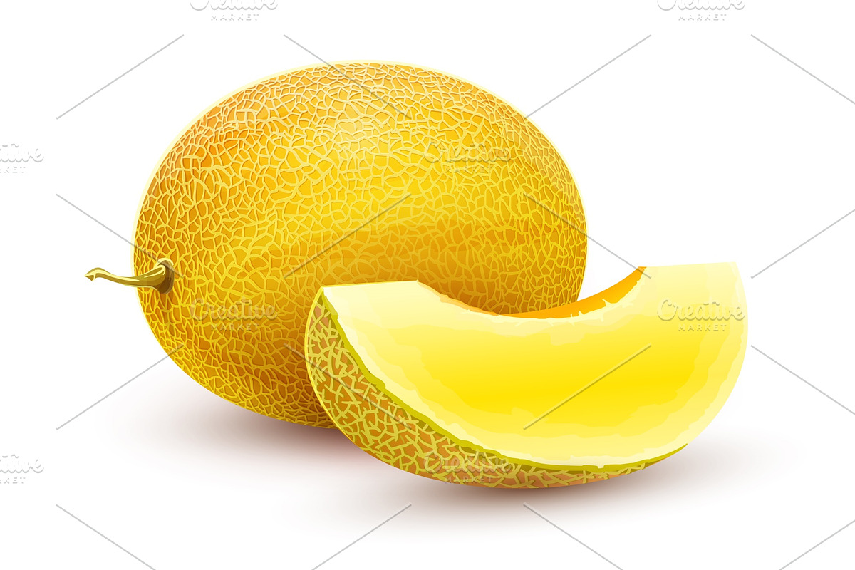 Honeydew melon. Whole fresh ripe in Illustrations - product preview 8