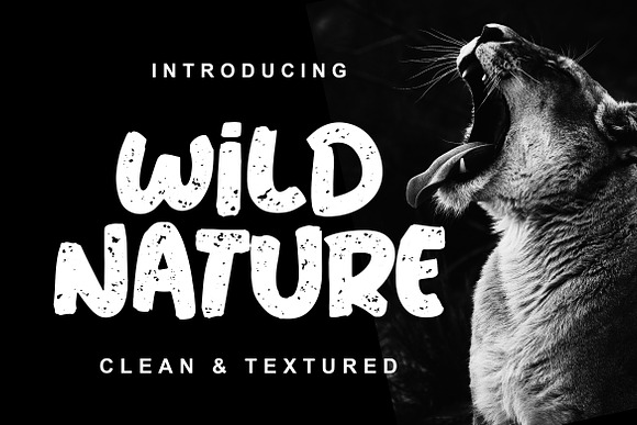 Wild Nature Font in Display Fonts - product preview 1