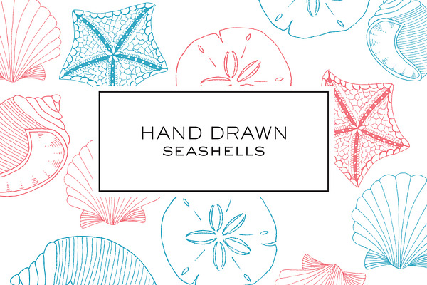 Hand Drawn Seashell Clipart