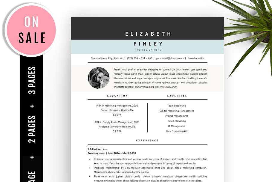 Professional Resume Template - 40