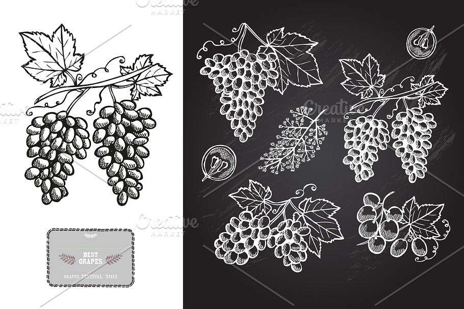 Hand Drawn Grapes in Illustrations - product preview 8