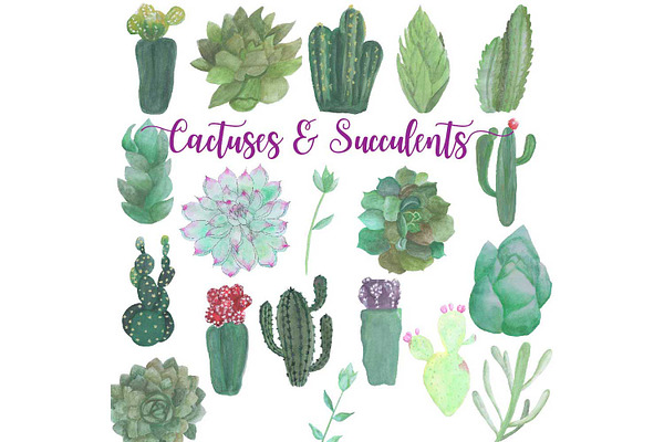 Hand Drawn Watercolor Cactuses 