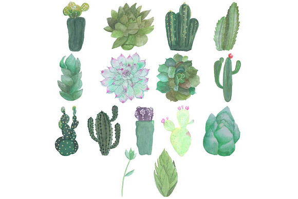 Hand Drawn Watercolor Cactuses  in Illustrations - product preview 1