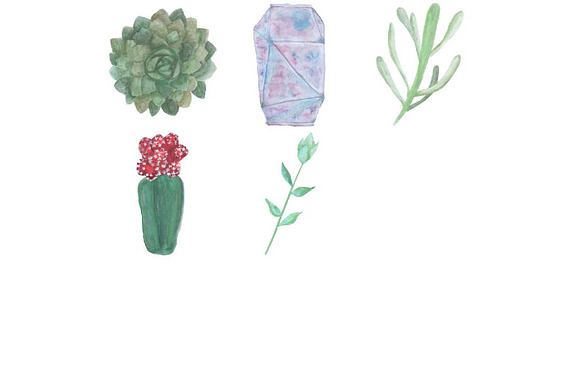 Hand Drawn Watercolor Cactuses  in Illustrations - product preview 2