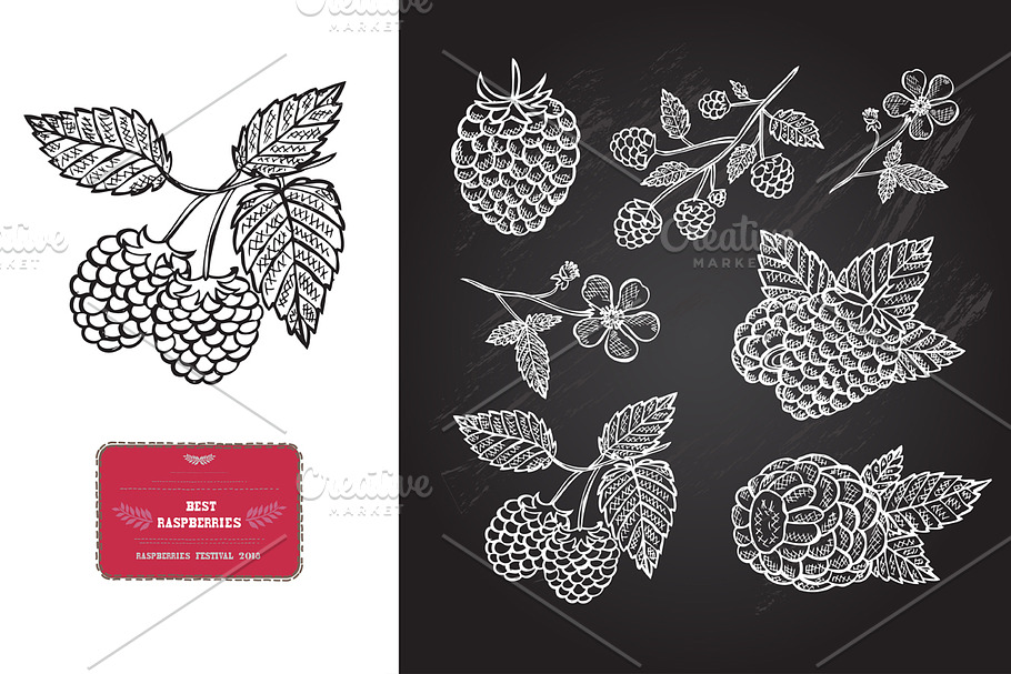Hand Drawn Raspberries in Illustrations - product preview 8