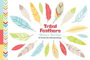 Fresh Tribal Feathers Clipart