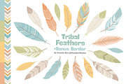 Vintage Feathers Vector Clipart