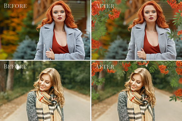 Rowan Berries photo overlays in Photoshop Layer Styles - product preview 2