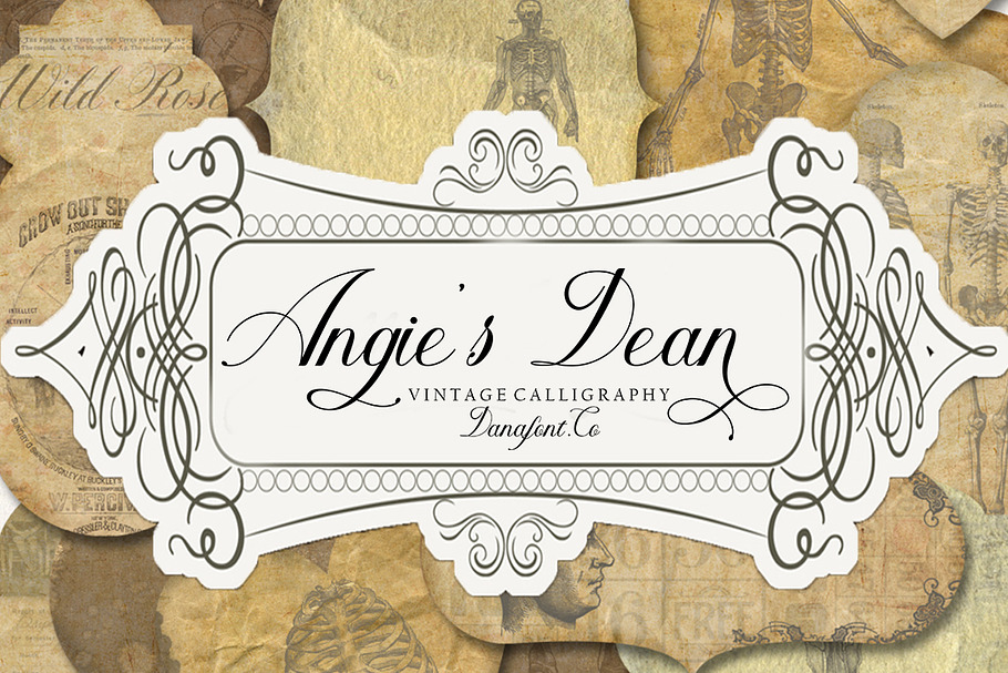 Angie's Dean  in Script Fonts - product preview 8