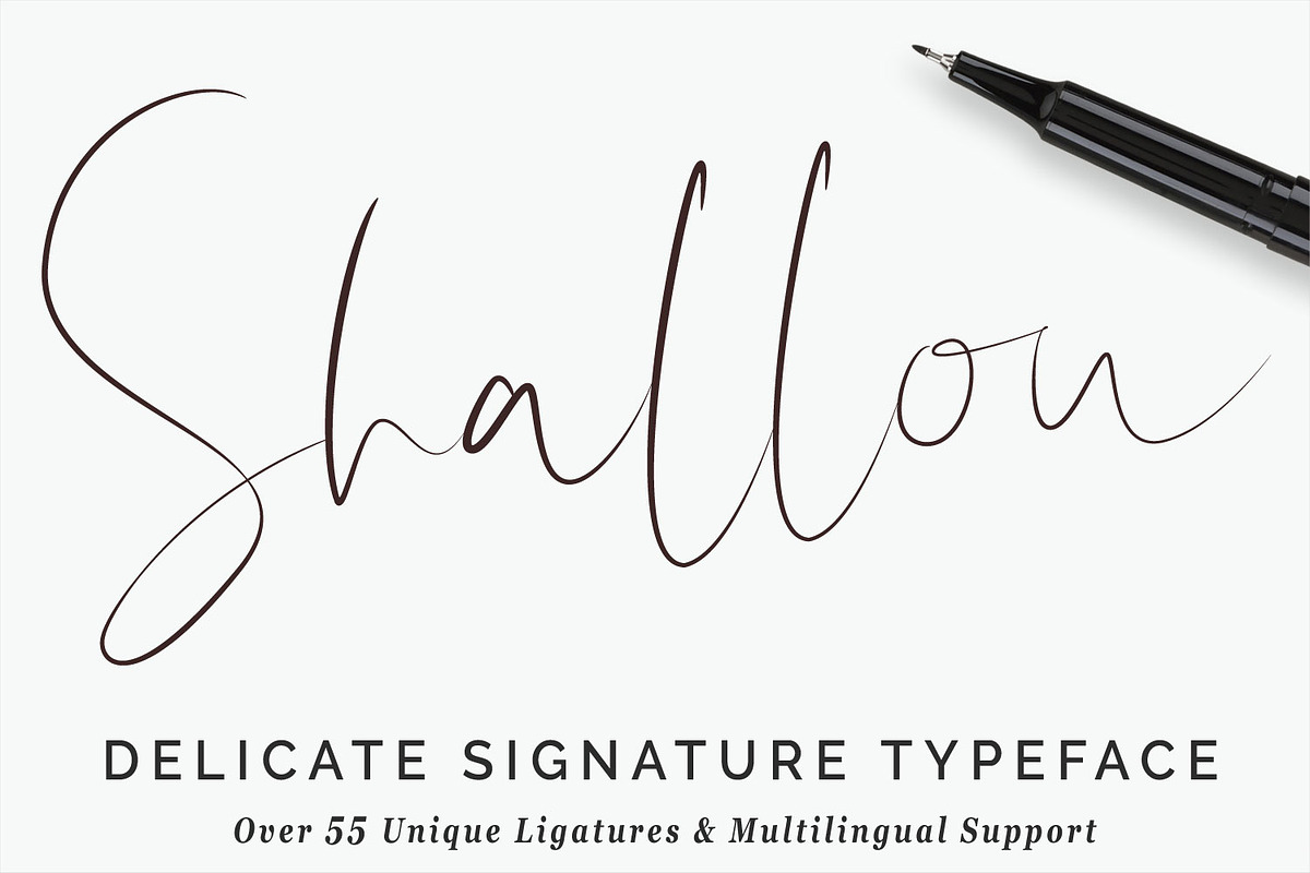 Shallou Signature Script Typeface  in Script Fonts - product preview 8