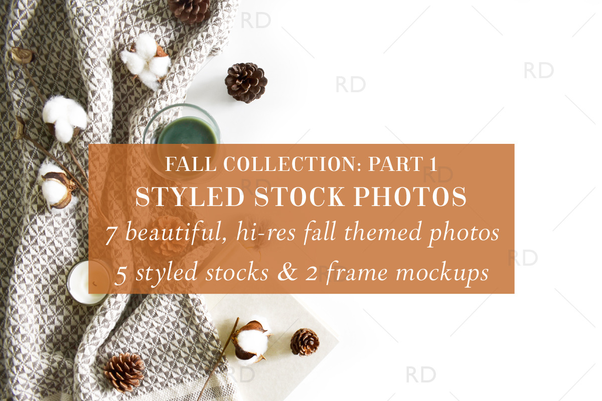 Styled Stock Photography: Fall Part1 in Print Mockups - product preview 8