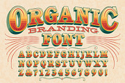 Organic Branding Display Alphabet