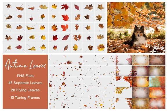 Autumn Leaves Overlays in Add-Ons - product preview 1