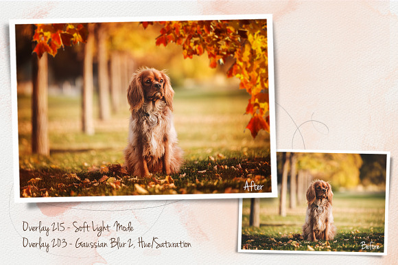 Autumn Leaves Overlays in Add-Ons - product preview 3