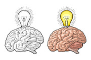 Human anatomy brain and glowing