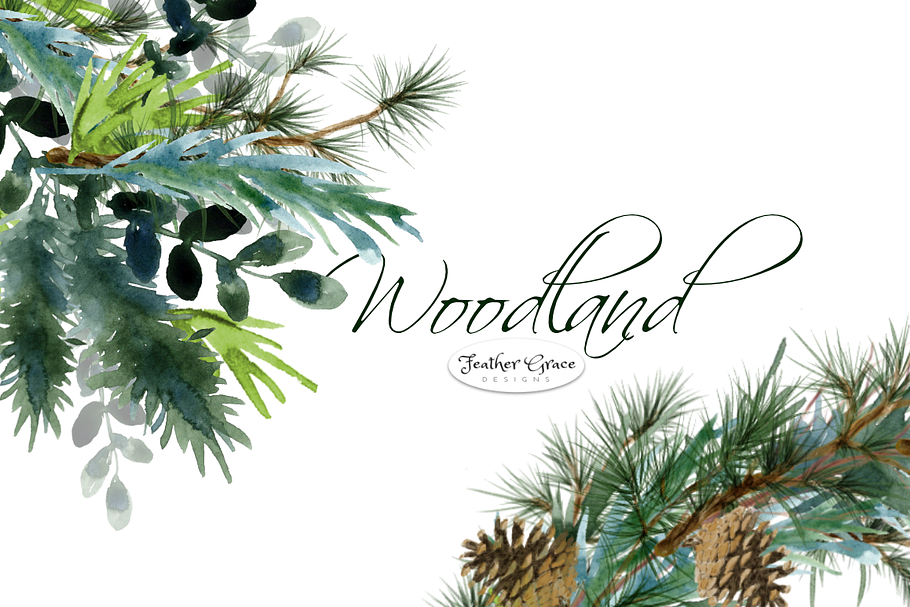 Watercolor Leaves & Greenery in Illustrations - product preview 8