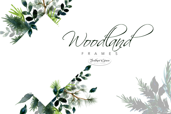 Watercolor Leaves & Greenery in Illustrations - product preview 3