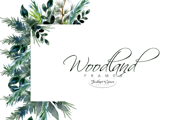 Watercolor Leaves & Greenery in Illustrations - product preview 4