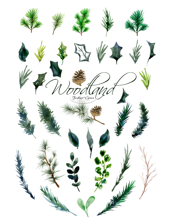 Watercolor Leaves & Greenery in Illustrations - product preview 10