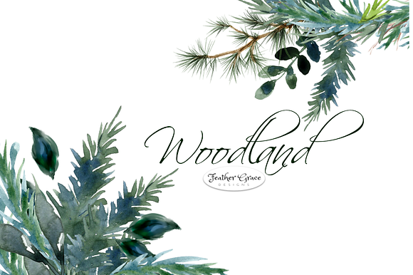 Watercolor Leaves & Greenery in Illustrations - product preview 11