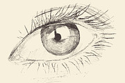 Woman eye illustration