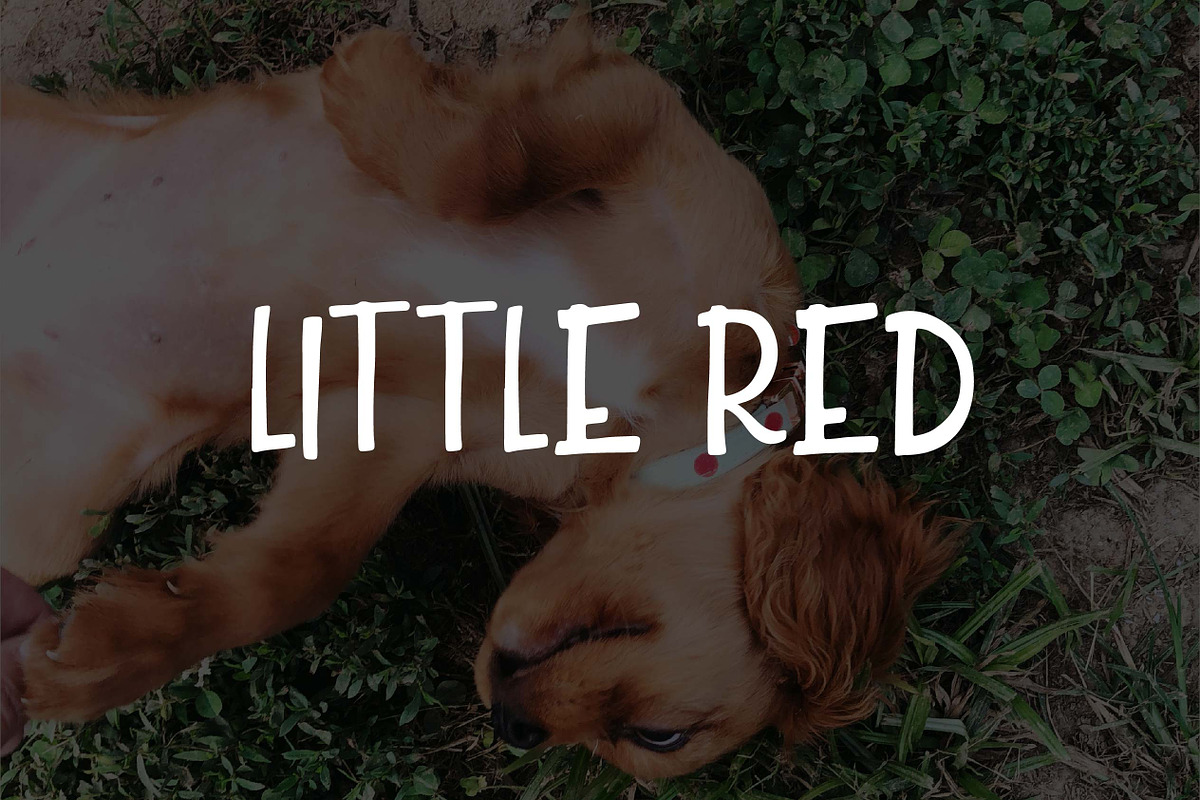 Little Red in Sans-Serif Fonts - product preview 8