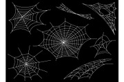 Collection of Cobweb, isolated on