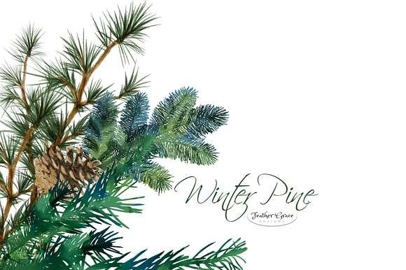 Pine Branches & Wreaths in Illustrations - product preview 1