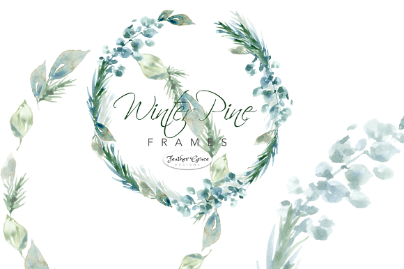 Pine Branches & Wreaths in Illustrations - product preview 9