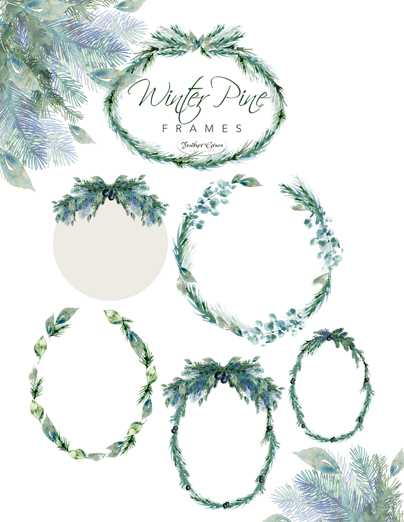 Pine Branches & Wreaths in Illustrations - product preview 11