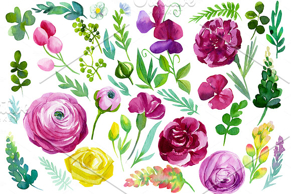 Set of wildflowers, watercolor in Illustrations - product preview 1