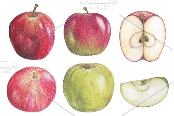 Apple Season (+vector version) in Illustrations - product preview 1