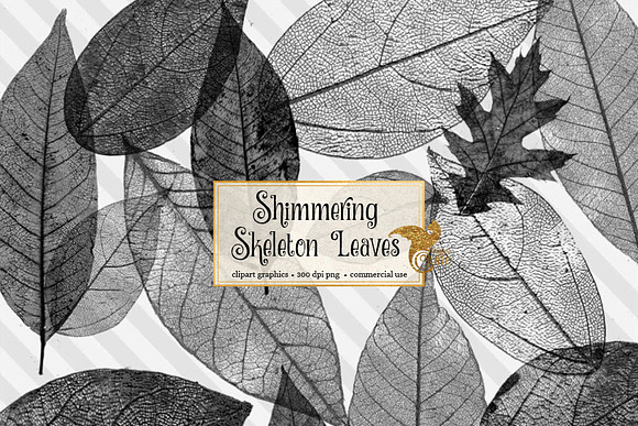 Skeleton Leaf Brushes and Clipart in Photoshop Brushes - product preview 1
