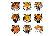 9 Tiger Face Vector Illustrations