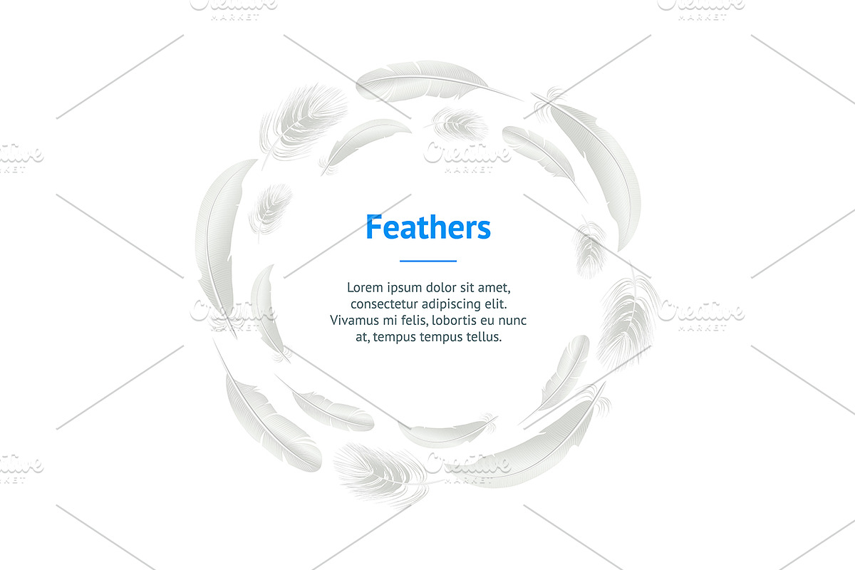 3d White Bird Feathers Set in Illustrations - product preview 8
