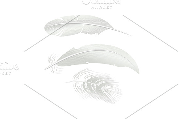 3d White Bird Feathers Set in Illustrations - product preview 1
