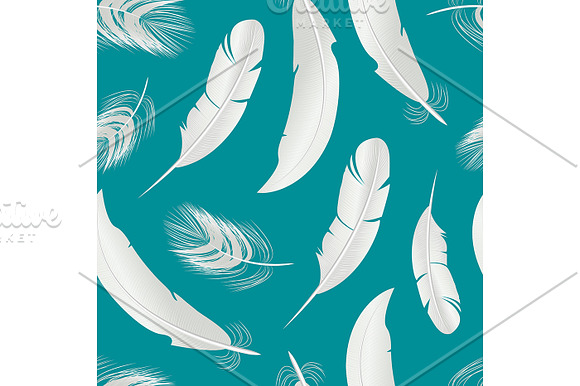 3d White Bird Feathers Set in Illustrations - product preview 2